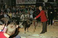 1985-01-12 Doe mer wa show B24 1985-01-12 Doe mer wa show B24